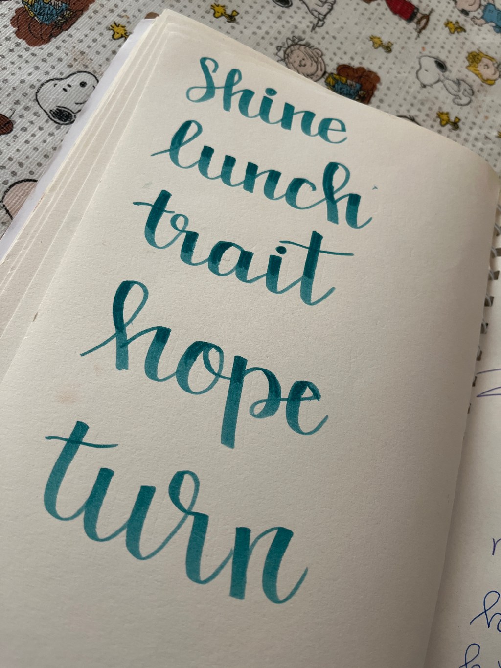 Nueva sección: cosas bonitas de&nbsp;caligrafía